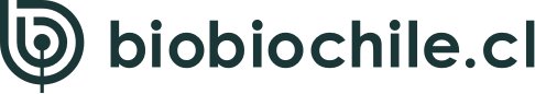 BioBioChile