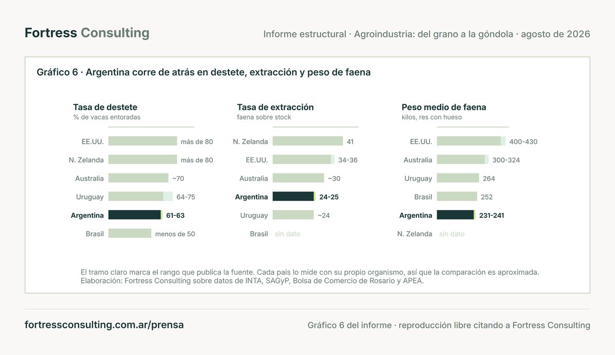 Argentina corre de atrás en destete, extracción y peso de faena